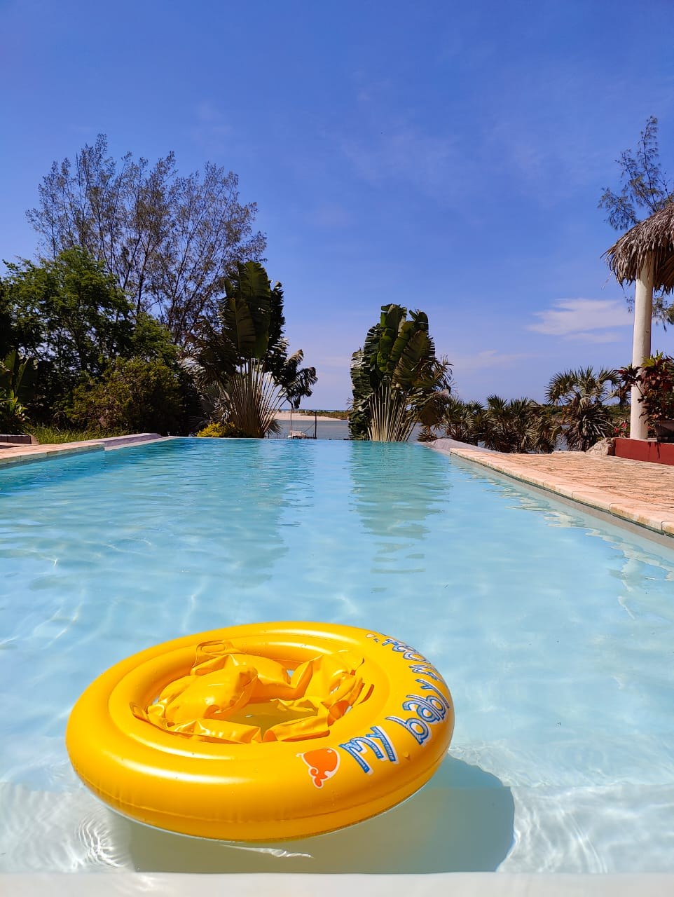 Piscine avec bungalows, hotel