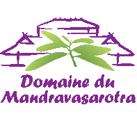 DDM